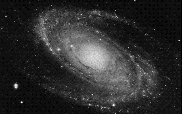 M81